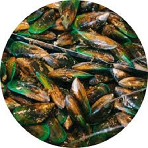 Tandoori Mussels 8 pcs