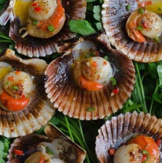 Halal Fish& Chips, Nana's Fish House Mount Roskill Order Online Order Meal