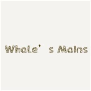 Whale’s Eatery Christchurch